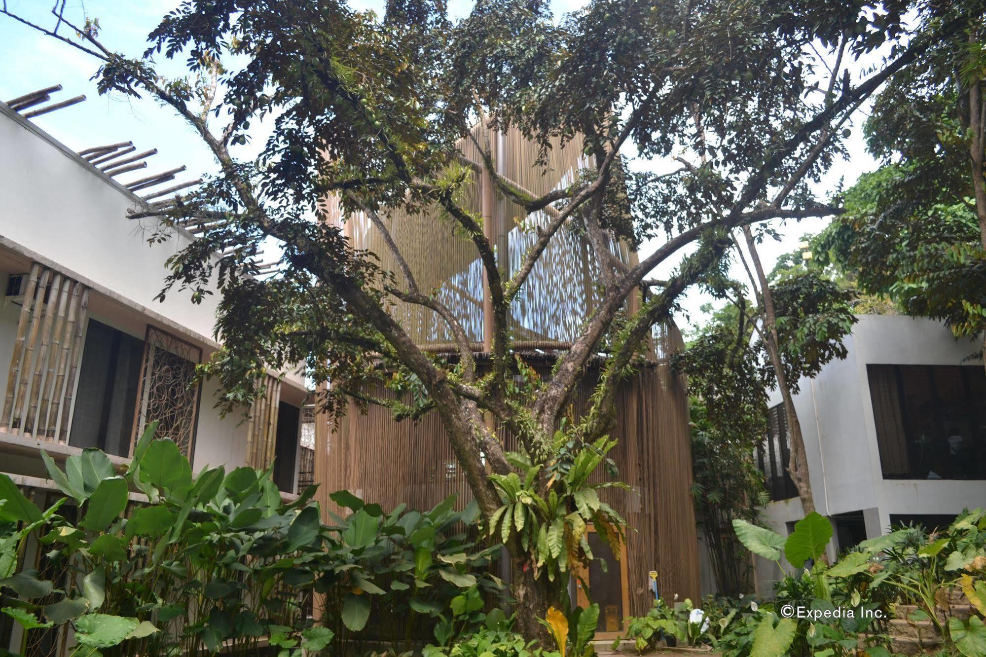 斯皮尼设计旅舍 - 爱妮岛旅舍 外观 照片